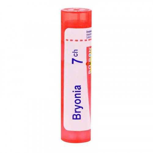 BRYONIA BOIRON 7CH tube-granules