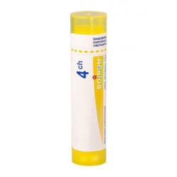 COLOCYNTHIS BOIRON 4CH tube-granules