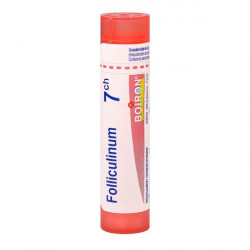 FOLLICULINUM BOIRON 7CH tube-granules