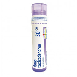 RHUS TOXICODENDRON BOIRON 30CH tube-granules