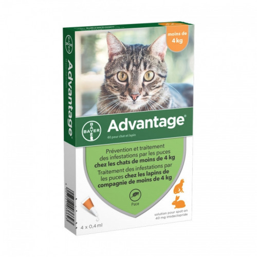 Bayer Advantage 40 Spot on chat et lapin de moins de 4 kg