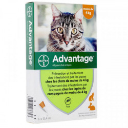 Bayer Advantage 40 Spot on chat et lapin de moins de 4 kg-6 pipettes