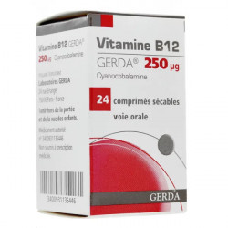 Vitamine B12 gerda 250µg 24 comprimés