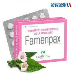 LEHNING FAMENPAX - 40 Comprimés orodispersibles
