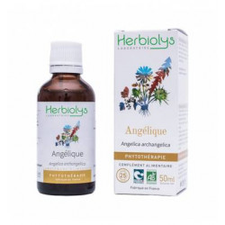 HERBIOLYS Phytothérapie Angélique Bio - 50 ml