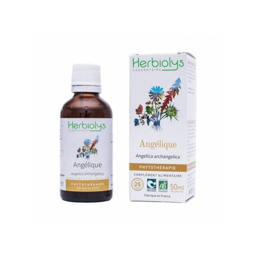 HERBIOLYS Phytothérapie Angélique Bio - 50 ml