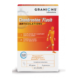CHONDROSTEO + Flash - 40 gélules