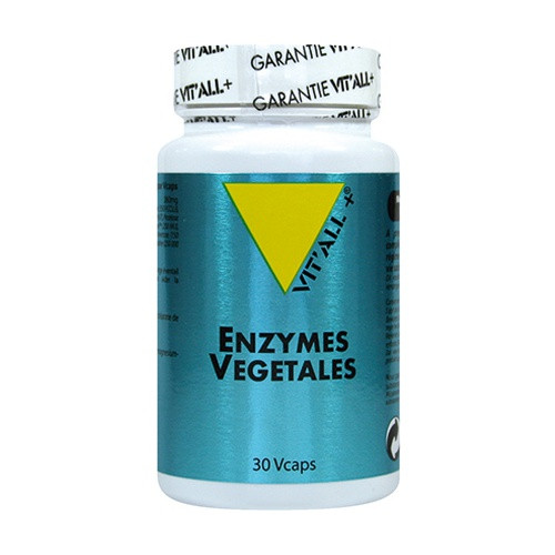 VIT ALL+ ENZYMES VEGES - 30 Capsules