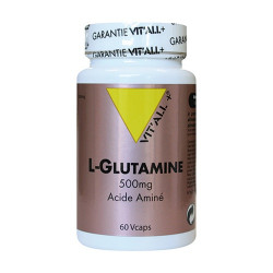 VIT ALL+ L-GLUTAMIN 500MG - 100 Gélules
