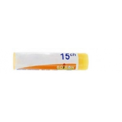 PARATYPHOIDINUM B BOIRON 15 CH dose