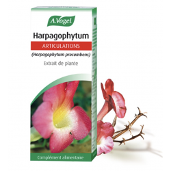 VOGEL EXTRACT OF FRESH PLANT Harpagophytum - 50ml