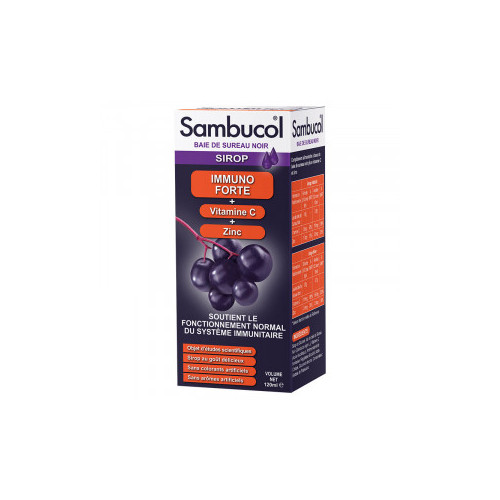 SYNPHONAT SAMBUCOL IMMUNO FORTE SP - 120 ml