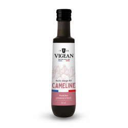VIGEAN HUILE CAMELINE BIO - 250 ml