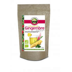 ECOIDEES GINGEMBRE INF SACH 100G