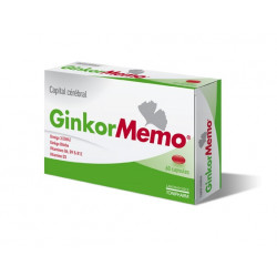 GINKOR MEMO Brain Capital - 60 Capsules