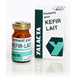YALACTA Ferments pour Kefir Lait