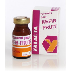 YALACTA Ferments pour Kefir Fruit
