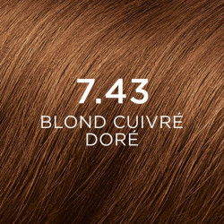 PHYTOCOLOR Kit Coloration 7.43 - Blond Cuivré Doré