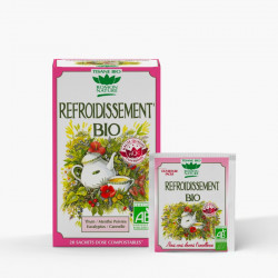 ROMON NATURE Organic Cooling Herbal Tea - 20 Sachets