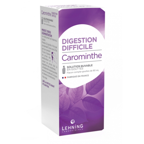 LEHNING CAROMINTHE Digestion difficile - Solution Buvable 90ml