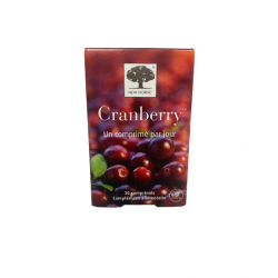 NEW NORDIC Cranberry - 30 Comprimés