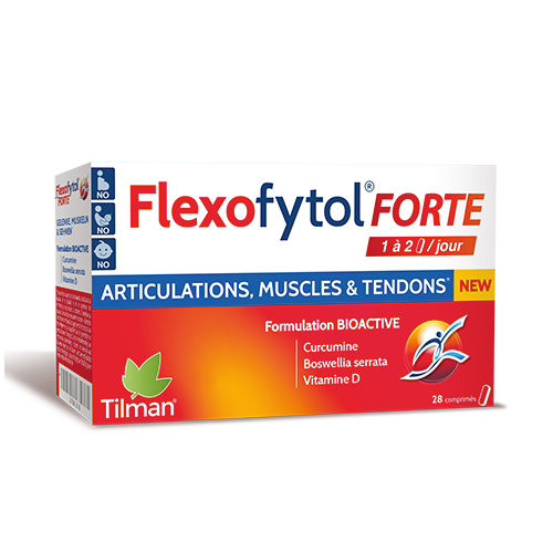 FLEXOFYTOL FORTE Articulations Muscles et Tendons - 28 Comprimés