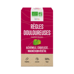 LERO RÈGLES DOULOUREUSES - 14 Gélules