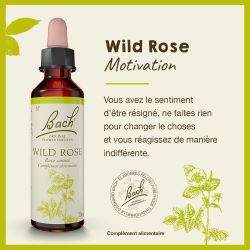FLEURS DE BACH N°37 Wild Rose - 20ml