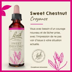 FLEURS DE BACH N°30 Sweet Chestnut - 20 ml