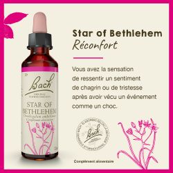 FLEURS DE BACH N°29 Star Of Bethlehem - 20 ml