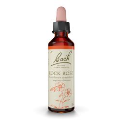 BACH ROCK ROSE n°26 - 20 ml