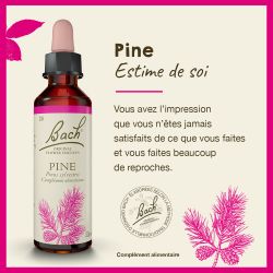 FLEURS DE BACH N°24 Pine- 20ml