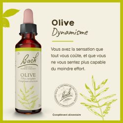 FLEURS DE BACH N°23 Olive - 20 ml