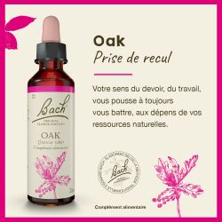 FLEURS DE BACH N°22 Oak - 20 ml