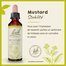 FLEURS DE BACH N°21 Mustard - 20ml