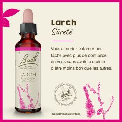 FLEURS DE BACH N°19 Larch - 20ml