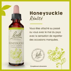 FLEURS DE BACH N°16 Honeysuckle - 20 ml