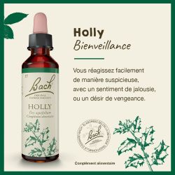 FLEURS DE BACH N°15 Holly -20ml