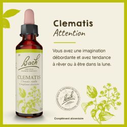 FLEURS DE BACH N°09 Clématis - 20ml