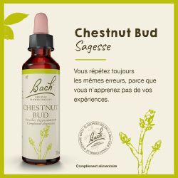 FLEURS DE BACH N°07 Chestnut Bud - 20ml