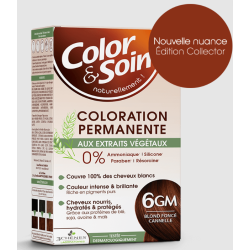 copy of COLOR & SOIN Coloration Permanente N°6G - Blond Foncé