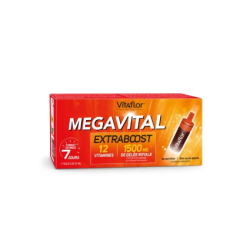 VITAFLOR MEGAVITAL Extraboost Saveur Citron - 7x10 ml