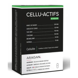 ARAGAN SYNACTIFS CELLUACTIFS - 60 Gélules