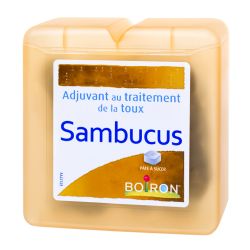 SAMBUCUS BOIRON Pâtes de réglisse - 70g