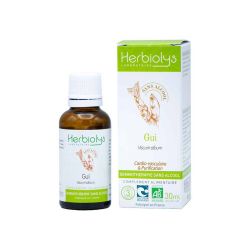 HERBIOLYS Gemmotherapy Mistletoe Bio - 50 ml