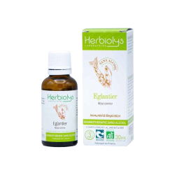 copy of HERBIOLYS GEMMOTHERAPY Warty Birch Alcohol Free Organic