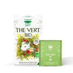 ROMON NATURE Organic Green Tea Herbal Tea - 20 Sachets