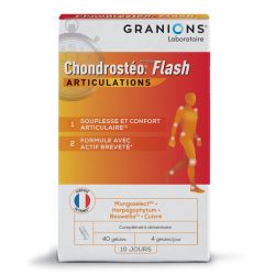 CHONDROSTEO + Flash Articulations - 40 capsules