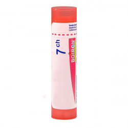 CANTHARIS BOIRON 7CH tube-granules