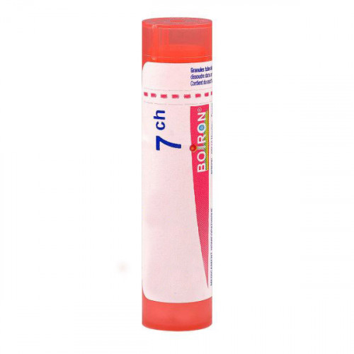 CANTHARIS BOIRON 7CH tube-granules